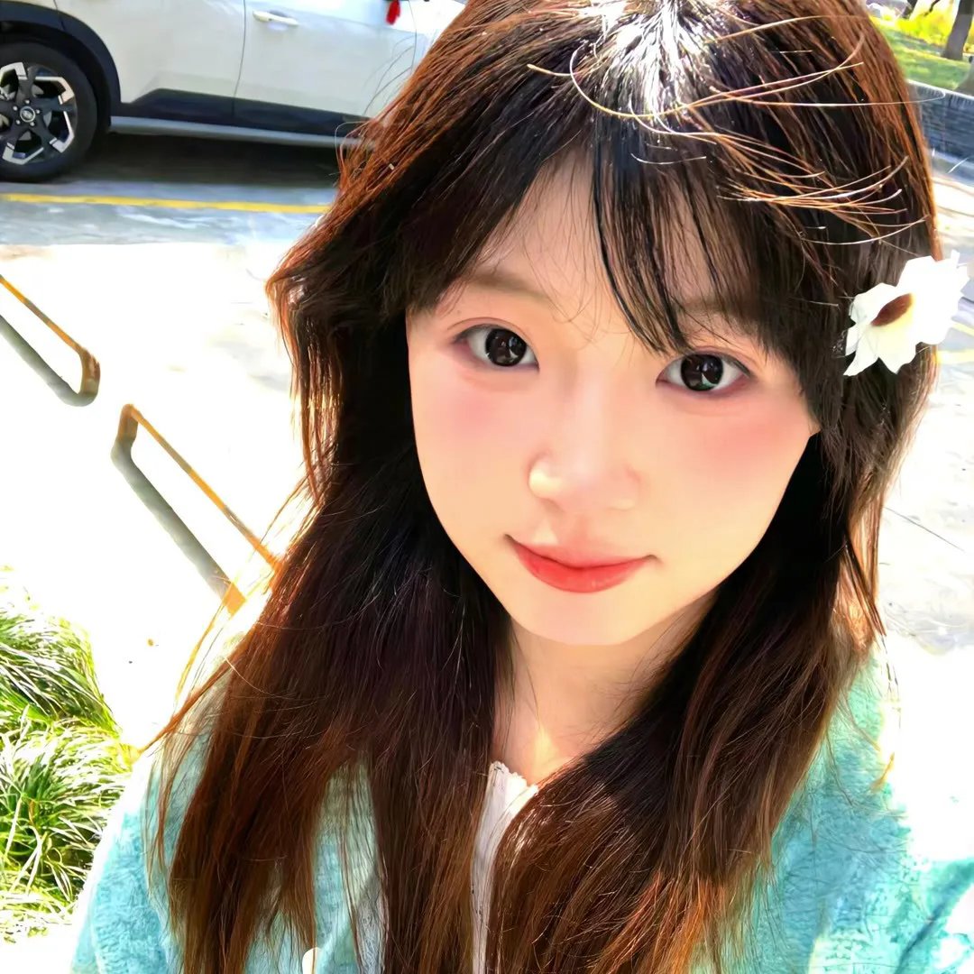 蚂蚁的梦想